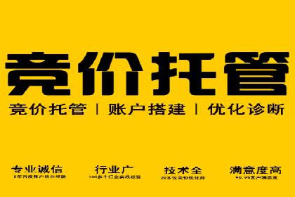 探索百度SEM竞价推广的奥秘：某行业巨头的成功经验
